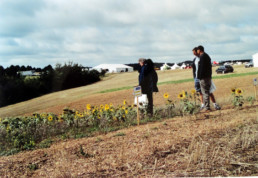 Tournesols au NLSD 2004