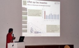 Festival Non labour et semis direct 2014