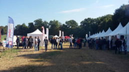 Non labour et semis direct 2016