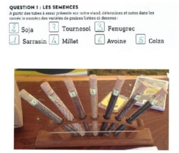 Non labour et semis direct 2018 - Réponse question 1